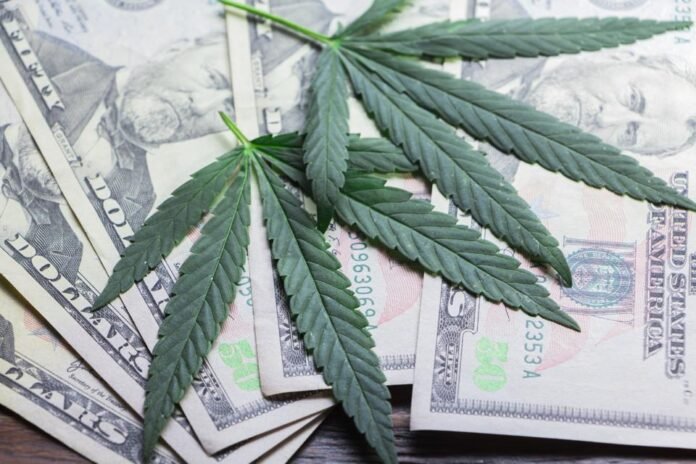 How to Start a Marijuana or Cannabis Business in 2023