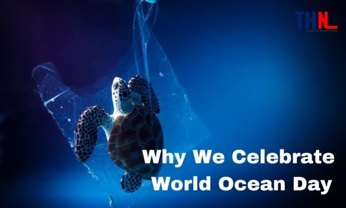 Why We Celebrate World Ocean Day 2023